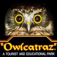 Owlcatraz and Park Play