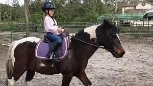 School of Horse Riding and Ashhust Domain