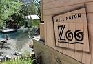 Wellington Zoo (seniors)