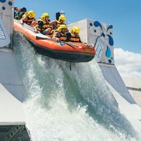 Vector Wero - Seniors