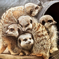 Natureland Animal Adventure