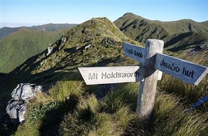Mt Holdsworth