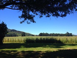 Fensham Reserve and Carterton Park 