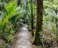 Hike & Explore (TRIP)