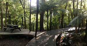 Parks & Nature (TRIP)